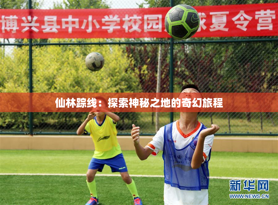 仙林踪线：探索神秘之地的奇幻旅程