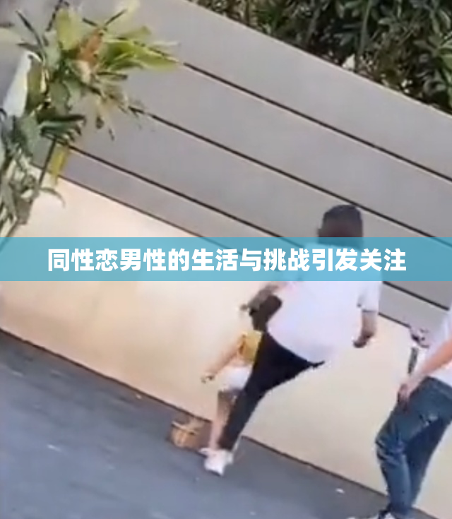 同性恋男性的生活与挑战引发关注