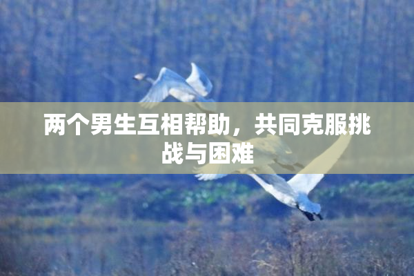 两个男生互相帮助，共同克服挑战与困难