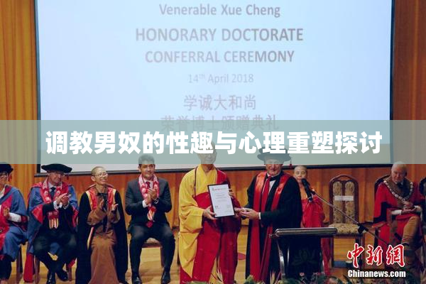 调教男奴的性趣与心理重塑探讨