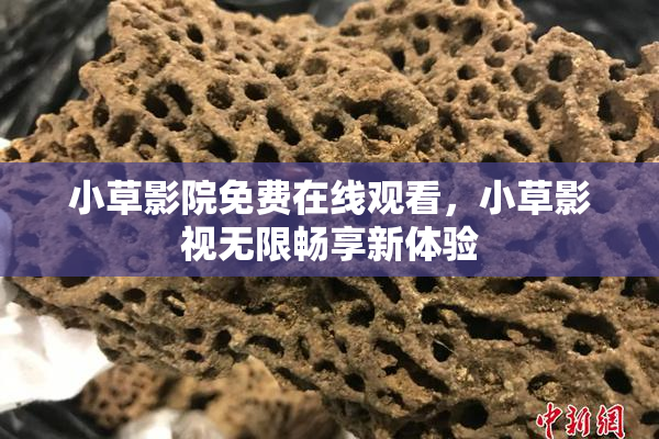 小草影院免费在线观看，小草影视无限畅享新体验