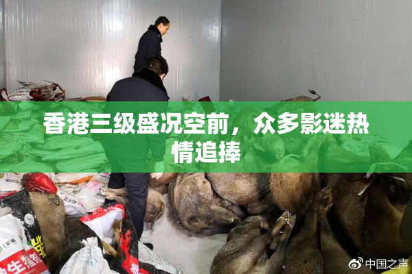 香港三级盛况空前，众多影迷热情追捧