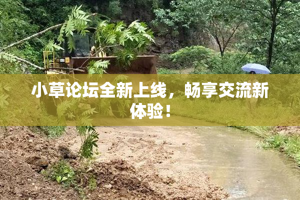 小草论坛全新上线，畅享交流新体验！