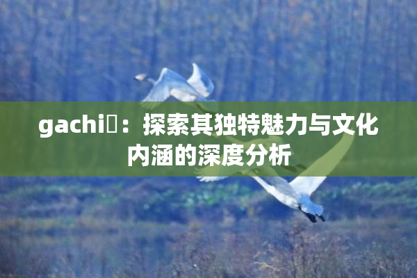 gachi籣：探索其独特魅力与文化内涵的深度分析