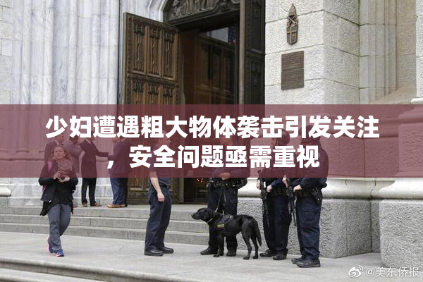 少妇遭遇粗大物体袭击引发关注，安全问题亟需重视