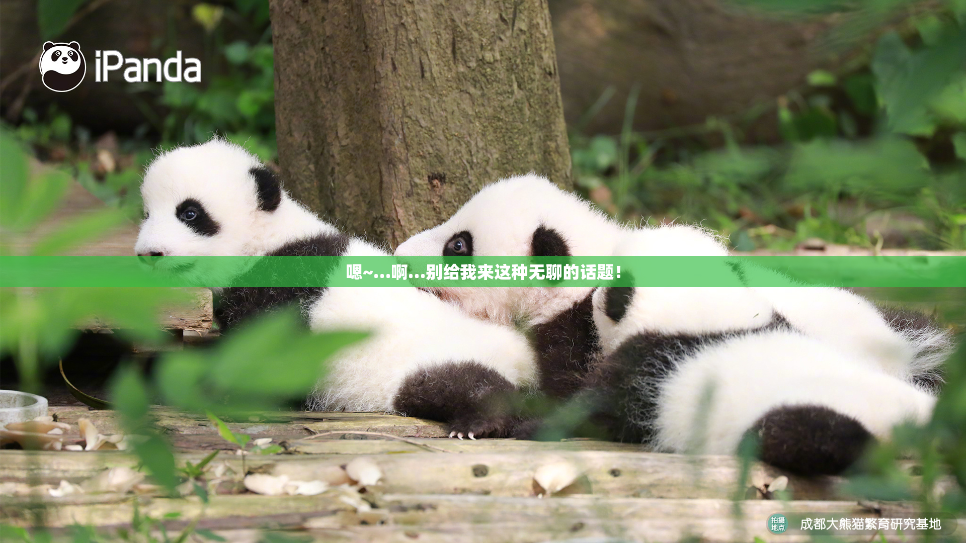 嗯~…啊…别给我来这种无聊的话题！