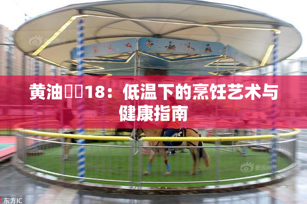 黄油❌‌18：低温下的烹饪艺术与健康指南