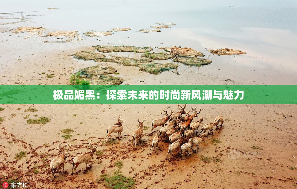 极品媚黑：探索未来的时尚新风潮与魅力