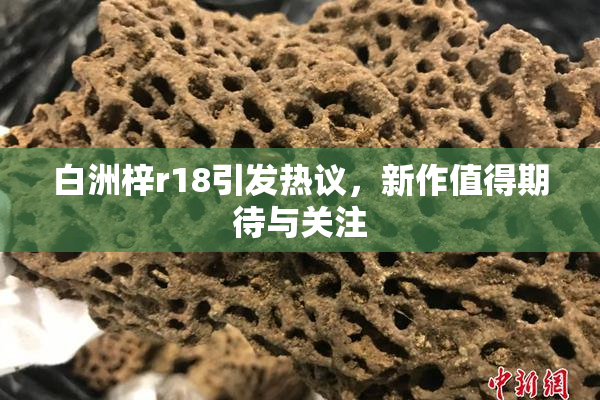 白洲梓r18引发热议，新作值得期待与关注