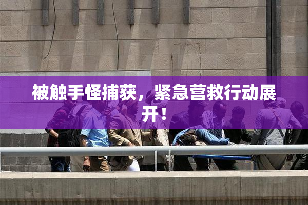 被触手怪捕获，紧急营救行动展开！