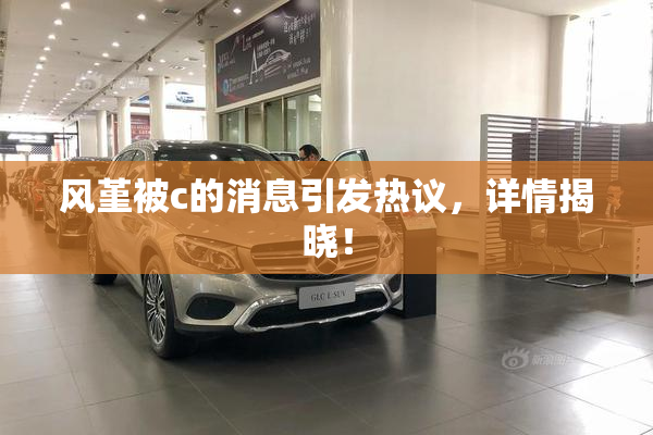 风堇被c的消息引发热议，详情揭晓！