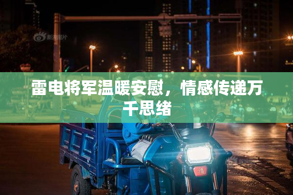 雷电将军温暖安慰，情感传递万千思绪