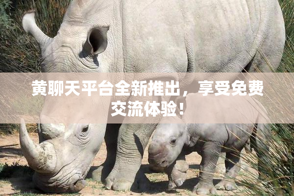 黄聊天平台全新推出，享受免费交流体验！