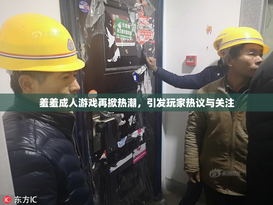 羞羞成人游戏再掀热潮，引发玩家热议与关注
