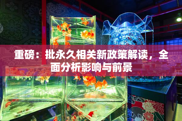 重磅：批永久相关新政策解读，全面分析影响与前景