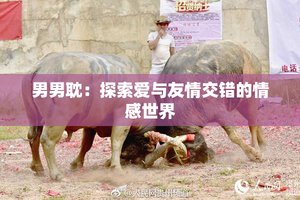 男男耽：探索爱与友情交错的情感世界