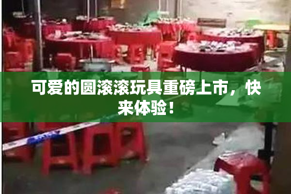 可爱的圆滚滚玩具重磅上市，快来体验！