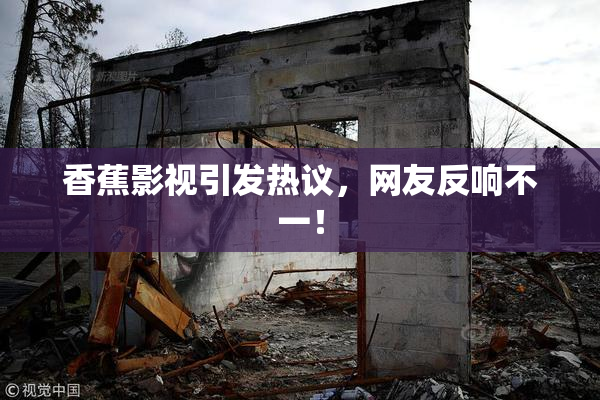 香蕉影视引发热议，网友反响不一！