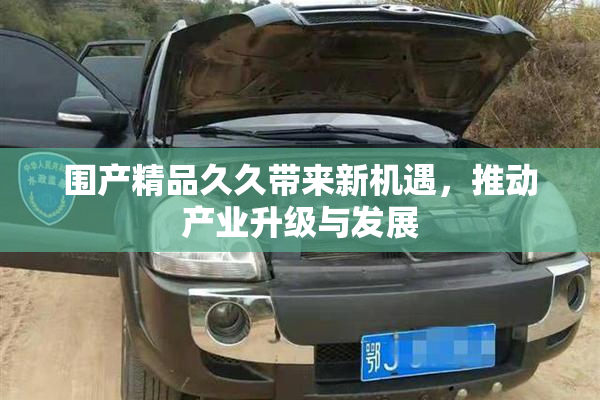 围产精品久久带来新机遇，推动产业升级与发展