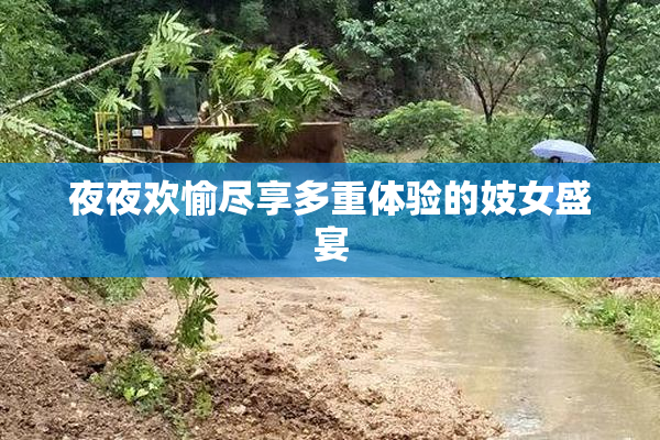 夜夜欢愉尽享多重体验的妓女盛宴