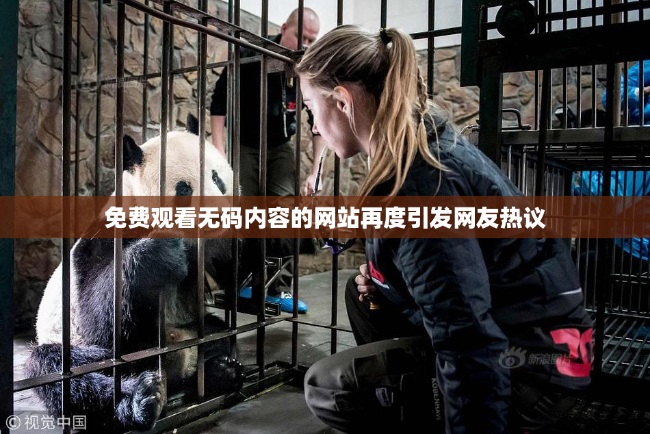 免费观看无码内容的网站再度引发网友热议