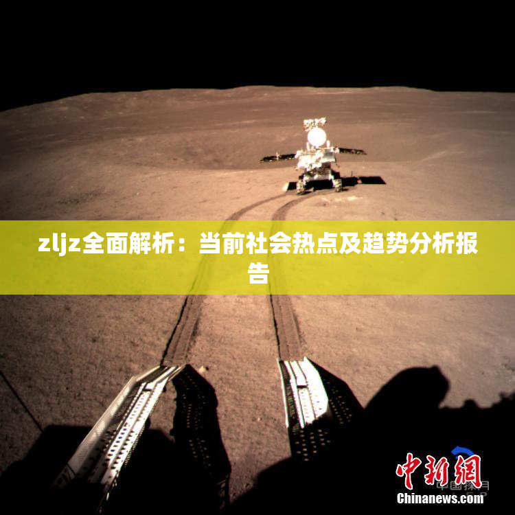 zljz全面解析：当前社会热点及趋势分析报告