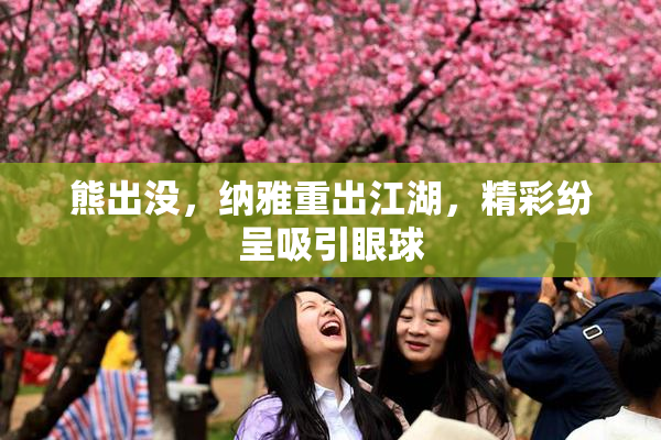 熊出没，纳雅重出江湖，精彩纷呈吸引眼球