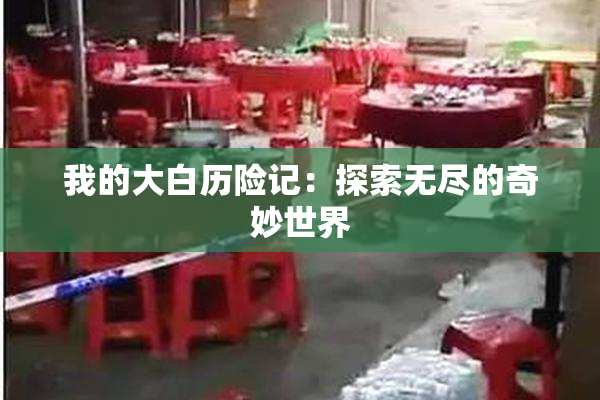 我的大白历险记：探索无尽的奇妙世界