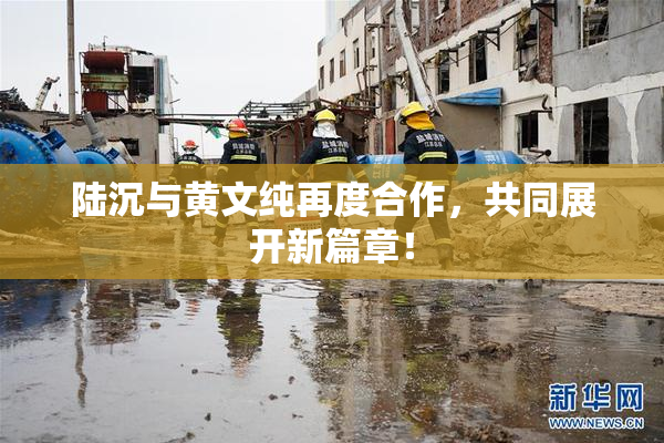 陆沉与黄文纯再度合作，共同展开新篇章！