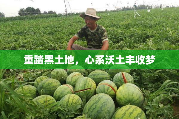 重踏黑土地，心系沃土丰收梦