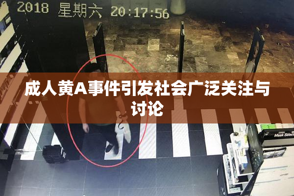 成人黄A事件引发社会广泛关注与讨论