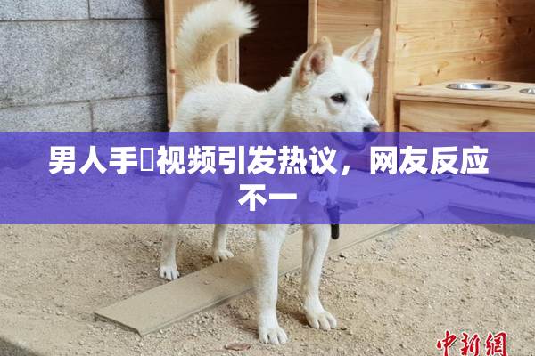 男人手婬视频引发热议，网友反应不一
