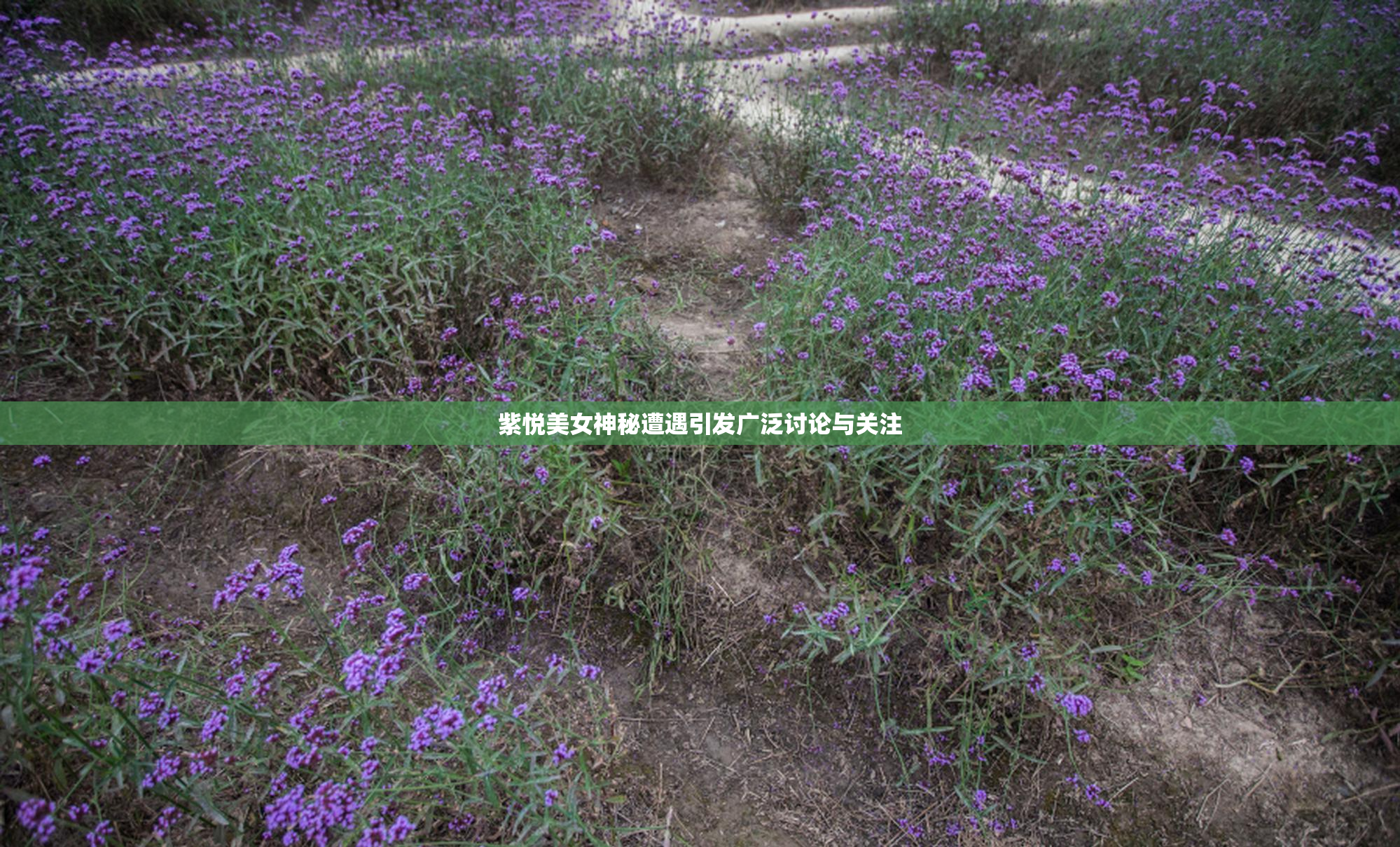 紫悦美女神秘遭遇引发广泛讨论与关注