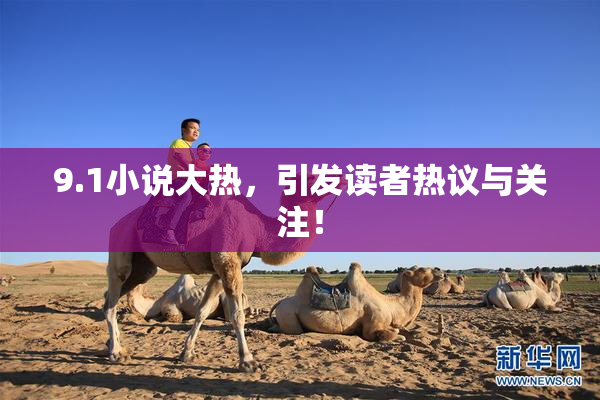 9.1小说大热，引发读者热议与关注！
