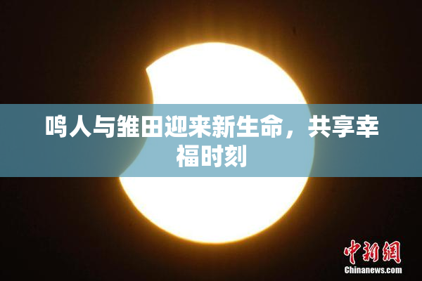鸣人与雏田迎来新生命，共享幸福时刻