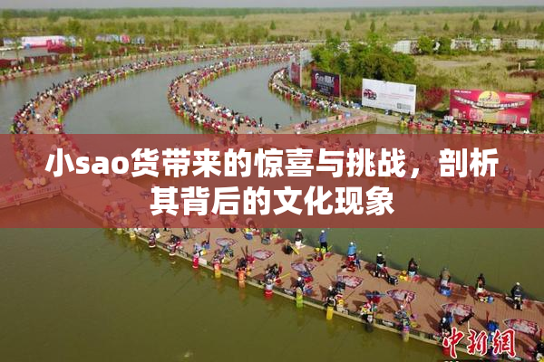 小sao货带来的惊喜与挑战，剖析其背后的文化现象