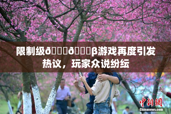 限制级🍆🍑β游戏再度引发热议，玩家众说纷纭