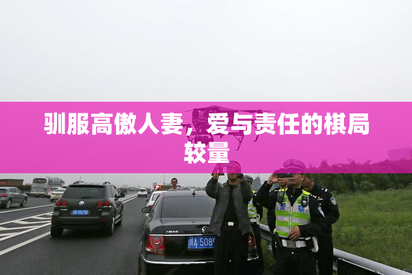 驯服高傲人妻，爱与责任的棋局较量
