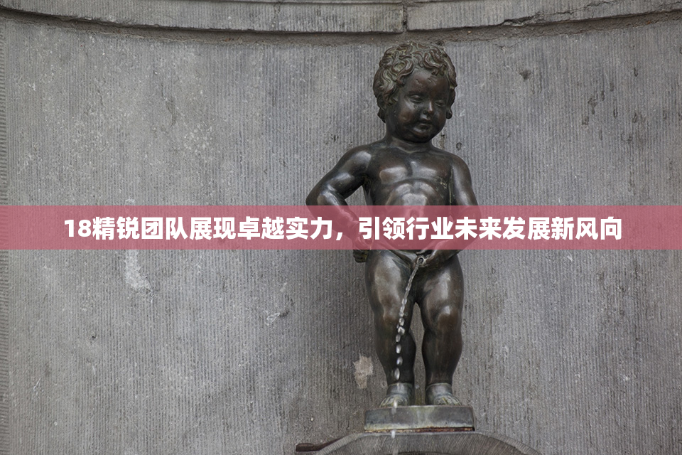 18精锐团队展现卓越实力，引领行业未来发展新风向