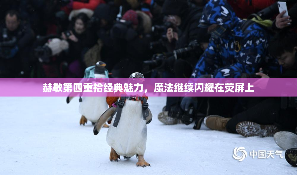 赫敏第四重拾经典魅力，魔法继续闪耀在荧屏上