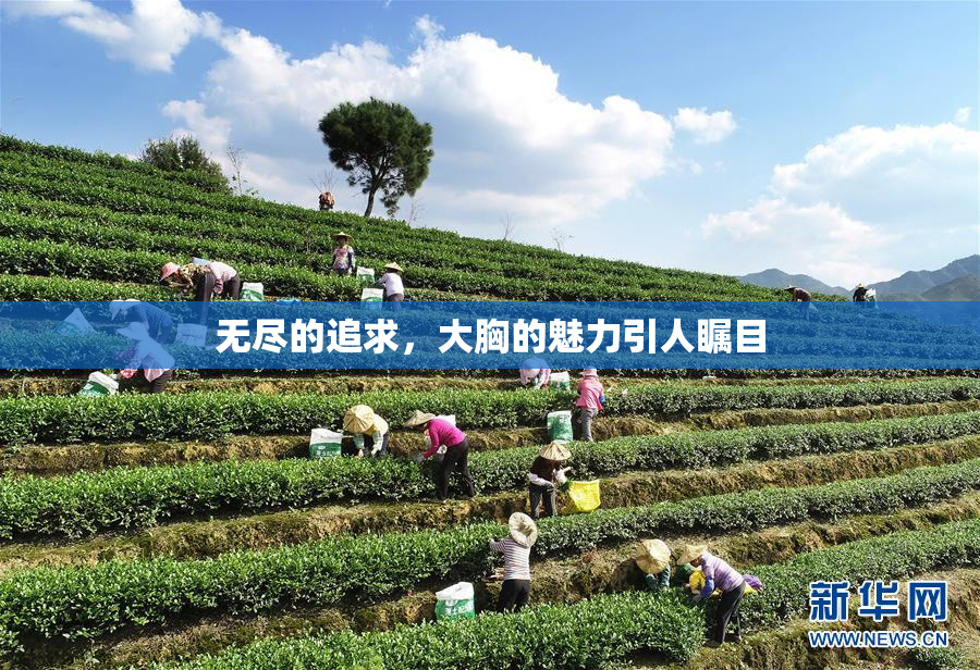 无尽的追求，大胸的魅力引人瞩目