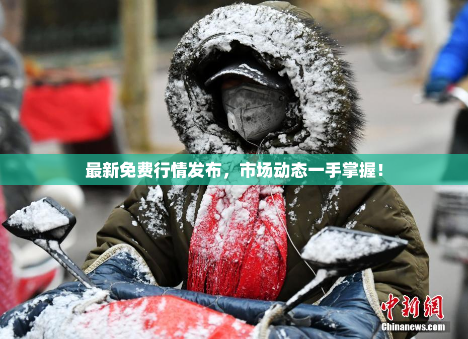 最新免费行情发布，市场动态一手掌握！