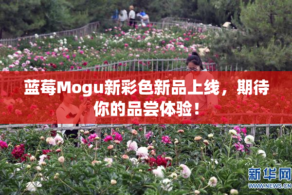 蓝莓Mogu新彩色新品上线，期待你的品尝体验！