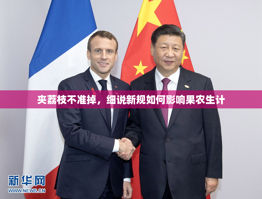 夹荔枝不准掉，细说新规如何影响果农生计