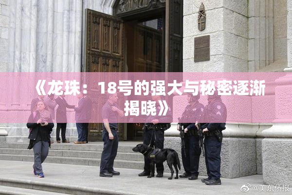 《龙珠：18号的强大与秘密逐渐揭晓》