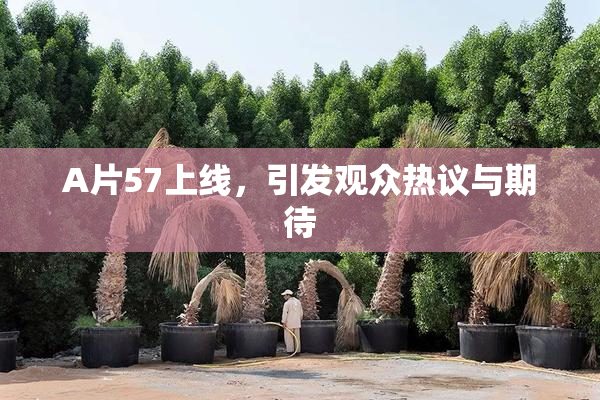 A片57上线，引发观众热议与期待