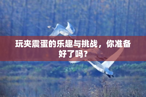 玩夹震蛋的乐趣与挑战，你准备好了吗？