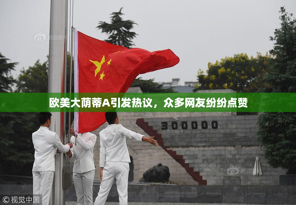 欧美大荫蒂A引发热议，众多网友纷纷点赞