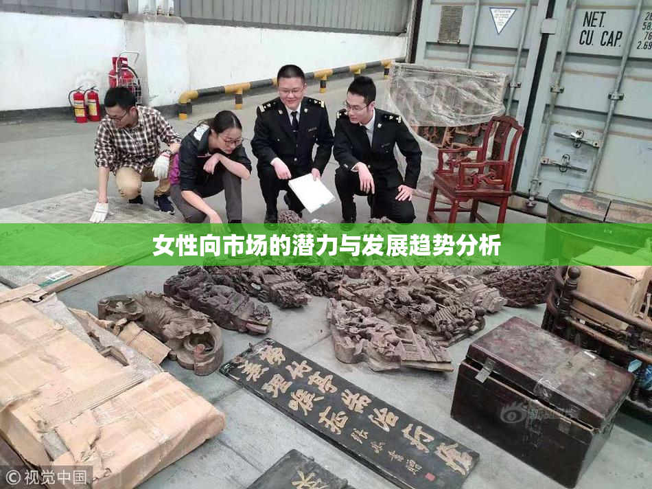 女性向市场的潜力与发展趋势分析