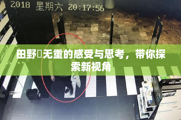 田野憂无重的感受与思考，带你探索新视角
